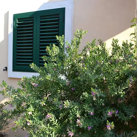 Despalatovic