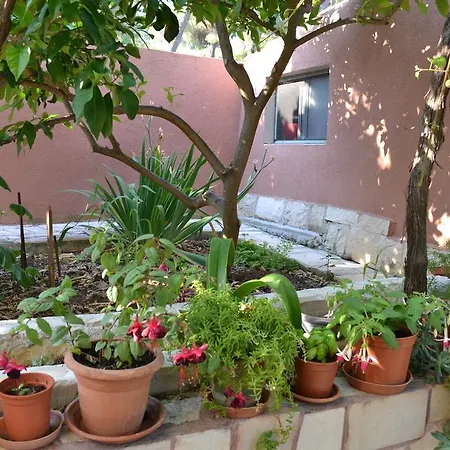 Appartement Despalatovic