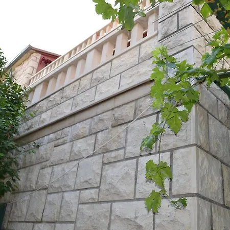 Despalatovic *